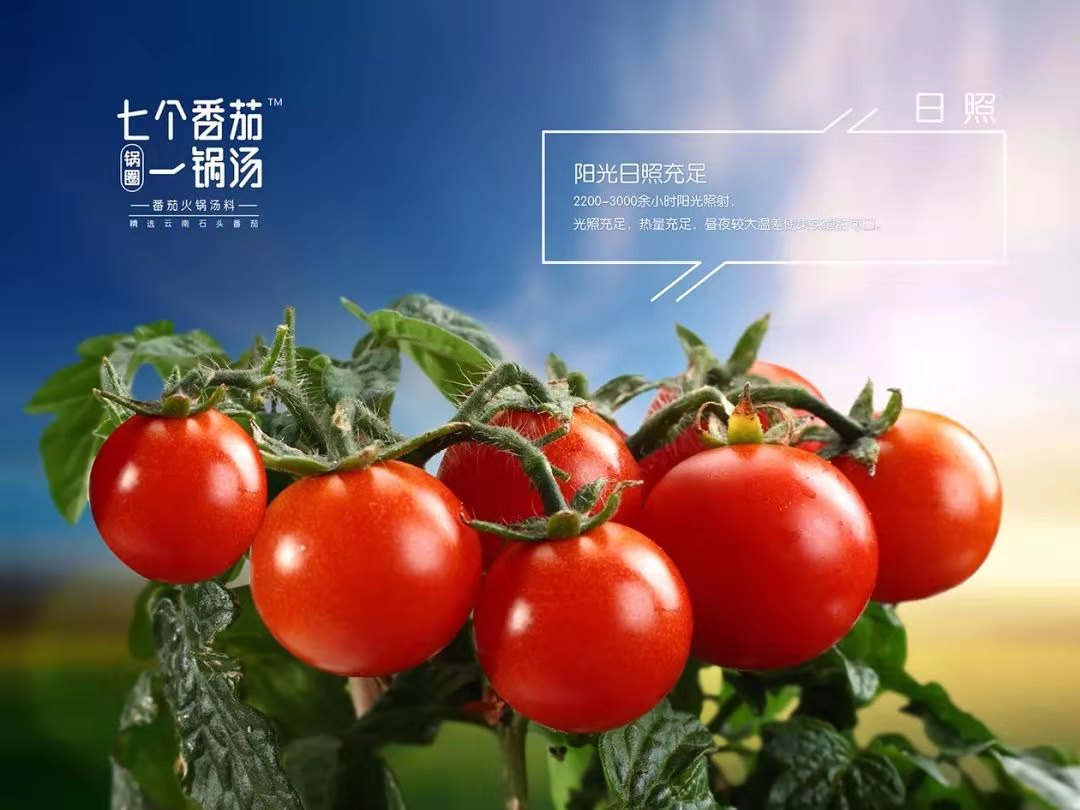 精选云南石头番茄 云南年平均气温15℃ 四季温差小,昼夜温差大, 阳光